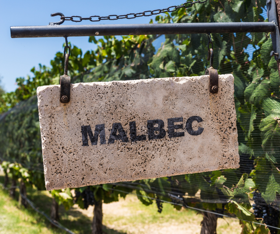 El Malbec y San Martín