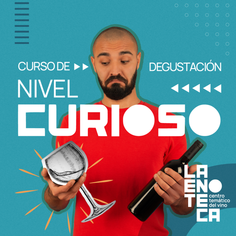 curso de degustacion la enoteca